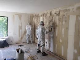 Mold Removal for HVAC Installations in Ocklawaha, FL